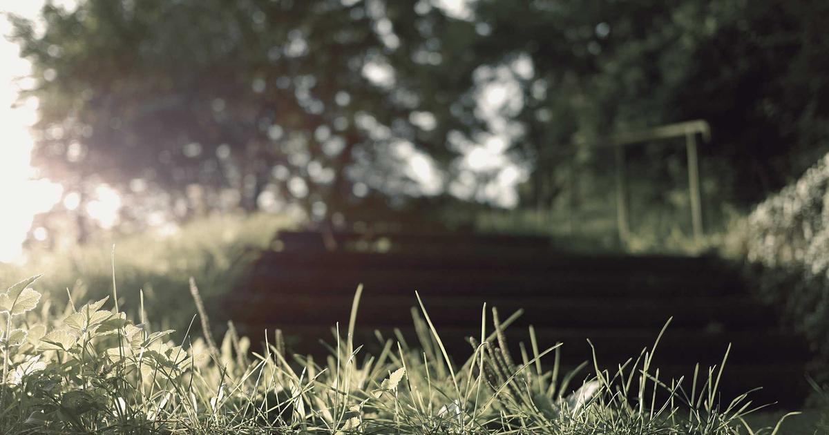 Invisible Scars: Psychological Distress & Long Covid's Link
