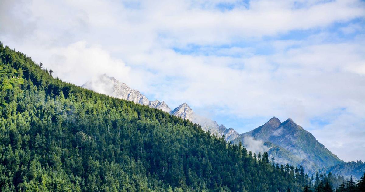 Long Covid's Hidden Fuel: Is Your Mind Sabotaging Your Recovery?